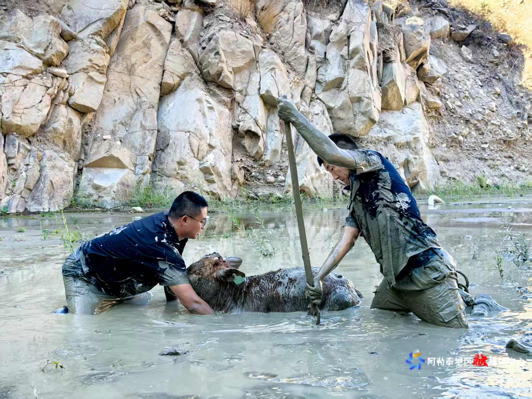 mmexport1758253149361