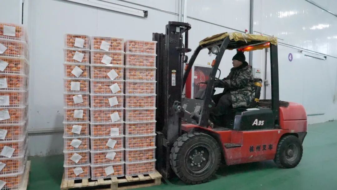 mmexport1772264548904